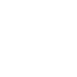 Icon17
