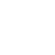 Icon18