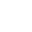 Icon19